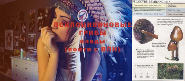 jwh Аркадак