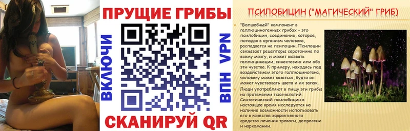 Псилоцибиновые грибы GOLDEN TEACHER  Болгар 